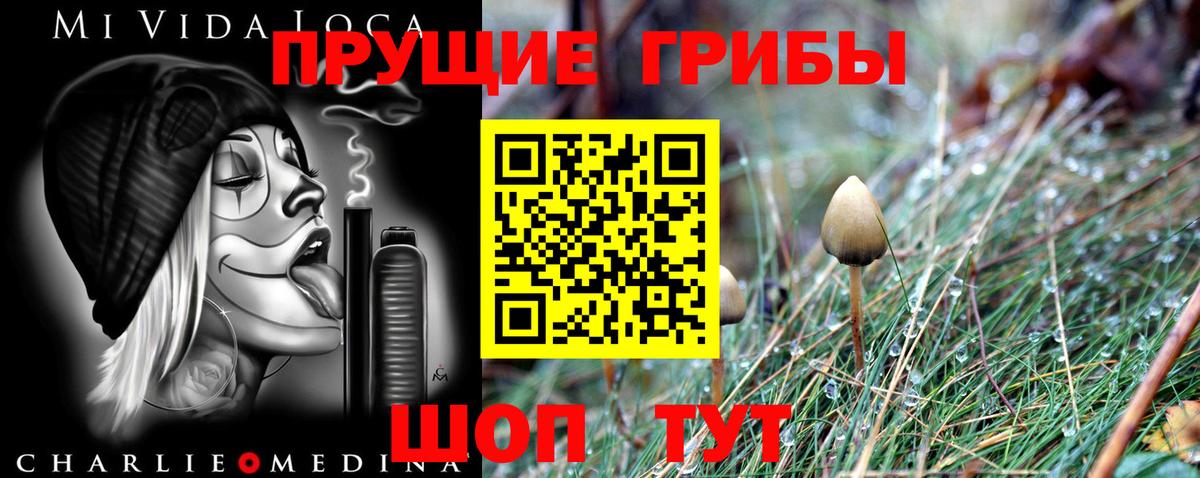Людиново  Псилоцибиновые грибы мицелий  Вход с VPN 